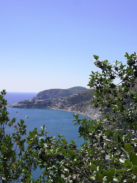 Hotel San Giovanni Terme Ischia Luaran gambar